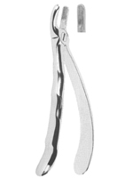 Extracting Forceps With Anatomically Shaped Handle