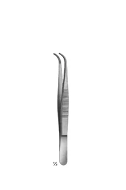 Medium Forceps 1