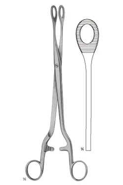 Noto Forceps