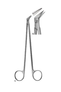 Potts Smith Scissors 1