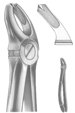 Relax Extracting Forceps