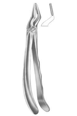 Relax Extracting Forceps