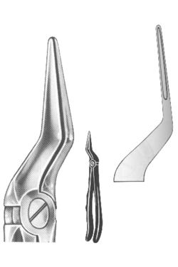 Relax Extracting Forceps