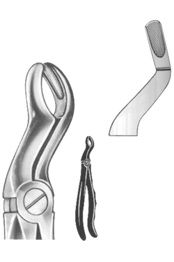 Relax Extracting Forceps