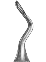 Root Elevators