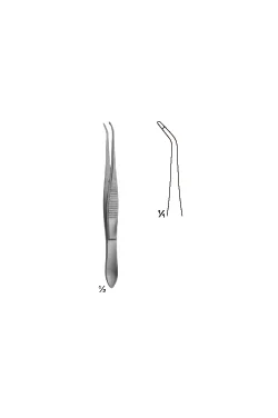 Saupe Forceps