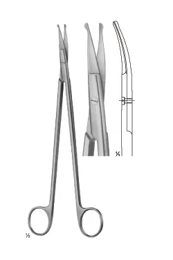 Strully Scissors 1