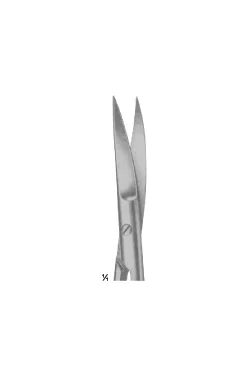 Standard Type Scissors 4