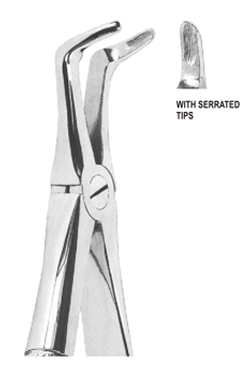 Extracting Forceps English Pattern
