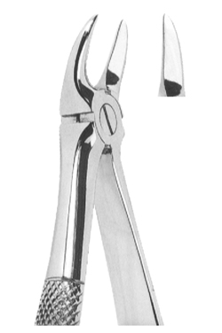 Extracting Forceps English Pattern