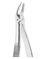 Extracting Forceps American Pattern