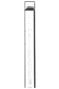 Bone Files And Chisels