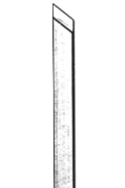 Bone Files And Chisels
