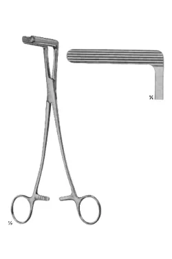 Wertheim Cullen Forceps