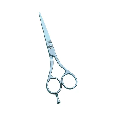 Barber and Dressing Scissors - TI-Barber Sci 04