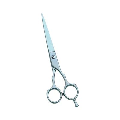 Barber and Dressing Scissors - TI-Barber Sci 06
