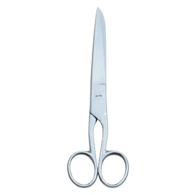 House Hold and Taylor Scissors - TI-H Hold Sci 01