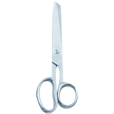 House Hold and Taylor Scissors - TI-H Hold Sci 05