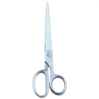 House Hold and Taylor Scissors - TI-H Hold Sci 06